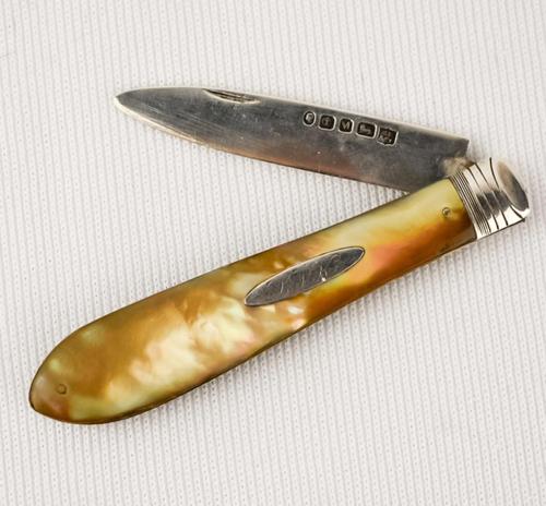 Silver Fruit Knife 1879-80 Martin Hall & Co Sheffield (1 of 4)