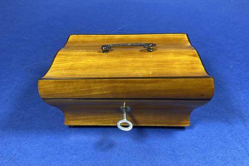 French 19th Century Satinwood Box (1 of 15)