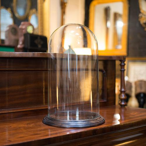 Antique Display Dome, English, Glass, Mahogany, Taxidermy, Showcase, Victorian (1 of 10) Antique Display Dome, English, Glass, Mahogany, Taxidermy, Showcase, Victorian (1 of 10)