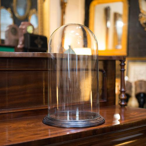 Antique Display Dome, English, Glass, Mahogany, Taxidermy, Showcase, Victorian (1 of 10)