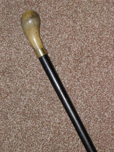 Antique Bovine Horn Handled Ebony Walking Stick With Gold Plate Collar (1 of 11)