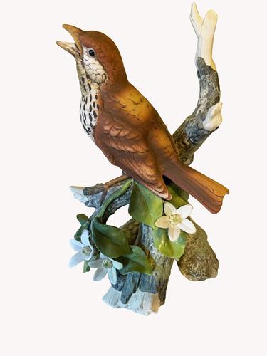 A Porcelain Figure of a Woodthrush, Andrea by Sardek (1 of 7)