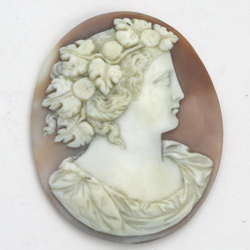 Fine & Large Unmounted Carved Shell Classical Portrait Cameo 19th Century (1 of 4)