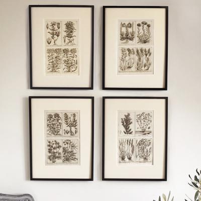 Unique Original French 18th Century Botanical Copperplate Prints (1 of 7) Unique Original French 18th Century Botanical Copperplate Prints (1 of 7)
