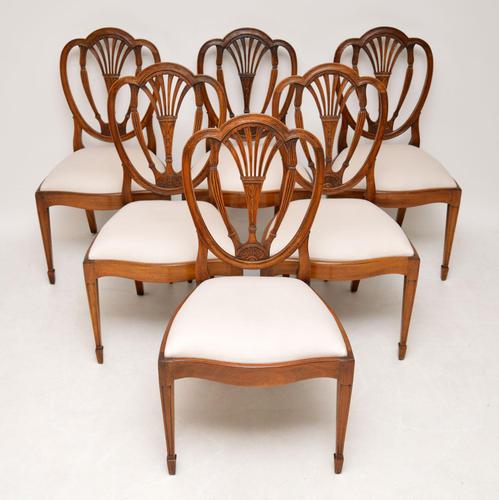 Set of 6 Antique Mahogany Sheraton Style Dining Chairs (1 of 9) Set of 6 Antique Mahogany Sheraton Style Dining Chairs (1 of 9)