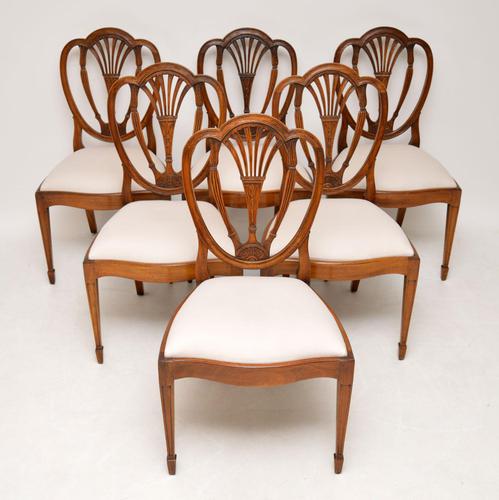 Set of 6 Antique Mahogany Sheraton Style Dining Chairs (1 of 9)