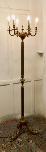 Rococo Gilt Brass Candelabra 6 Branch Floor Lamp, Standard Lamp (1 of 8)