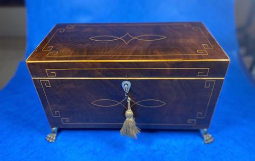 Regency Mahogany Twin Lidded Tea Caddy (1 of 17)