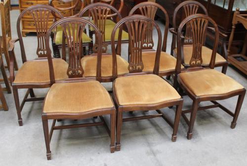 1900's Mahogany Set 8 Hoop Dining chairs with Pop out Seats in Gold (1 of 3) 1900's Mahogany Set 8 Hoop Dining chairs with Pop out Seats in Gold (1 of 3)