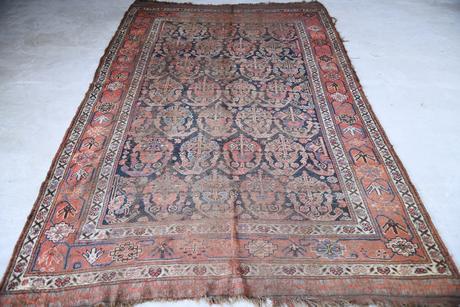 Antique Afshar Rug (1 of 12) Antique Afshar Rug (1 of 12)