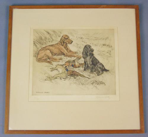 Hunting Dogs Field Spaniels G Vernon Stokes Signed Limited Edition (1 of 6)