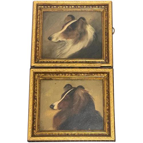 Pair of Scottish 19th Century Oil Paintings Rough Collie Dog Portraits After George Washington Brownlow (1 of 49)