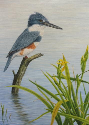 Oil on Canvas Study of a Kingfisher Listed Artist Geoffrey Campbell Black (1 of 10) Oil on Canvas Study of a Kingfisher Listed Artist Geoffrey Campbell Black (1 of 10)