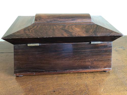 Large Rosewood William IV Sarcophagus Style English Tea Caddy (1 of 6)