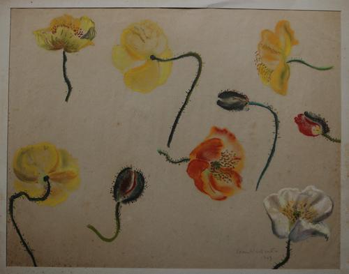 Flower Studies by Joan Warburton (1 of 6)