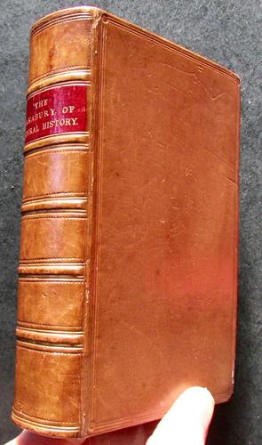 1874 Treasury of Natural History by Samuel Maunder - Full Leather Binding (1 of 3) 1874 Treasury of Natural History by Samuel Maunder - Full Leather Binding (1 of 3)