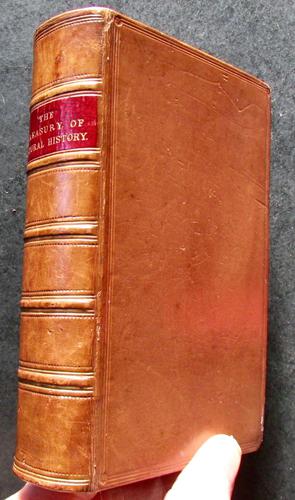 1874 Treasury of Natural History by Samuel Maunder - Full Leather Binding (1 of 3)