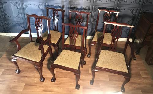 Set of six Edwardian Mahogany Dining Chairs (1 of 11)