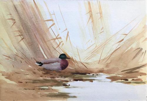 Original Watercolour 'a Mallard among the reeds' by Arthur Gee 1934-2011. Signed. (1 of 1) Original Watercolour 'a Mallard among the reeds' by Arthur Gee 1934-2011. Signed. (1 of 1)