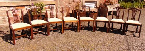 Set of 8 Hepplewhite Style Mahogany Dining Chairs (1 of 12) Set of 8 Hepplewhite Style Mahogany Dining Chairs (1 of 12)
