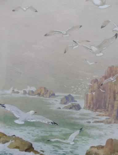 Watercolour Seagull seascape List Artist Noel Hubert Hopking (1 of 10) Watercolour Seagull seascape List Artist Noel Hubert Hopking (1 of 10)