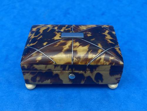 Georgian Pewter Inlaid Tortoiseshell Casket (1 of 15)