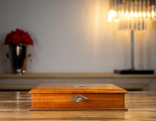 Edwardian Mahogany Book Box c.1910 (1 of 7)