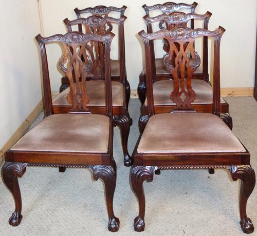 Set of Six Carved Mahogany Chippendale Style Dining Chairs (1 of 1)