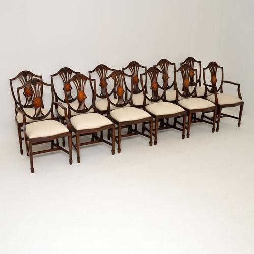 Set of 12 Mahogany Shield Back Dining Chairs (1 of 13)