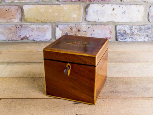 Single Mahogany Tea Caddy C.1800 (1 of 1)