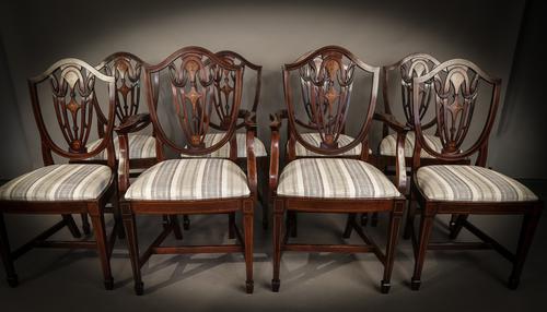 Set of 8 Hepplewhite Style Dining Chairs Inlaid c.1900 (1 of 1) Set of 8 Hepplewhite Style Dining Chairs Inlaid c.1900 (1 of 1)