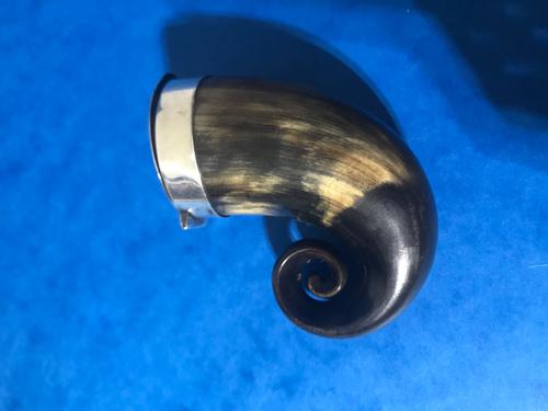 Silver Topped Horn Scottish Snuff Mull (1 of 11)