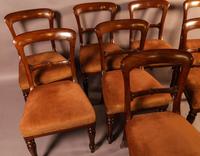 Set of 8 William IV Dining Chairs Mahogany (11 of 12) Set of 8 William IV Dining Chairs Mahogany (11 of 12)