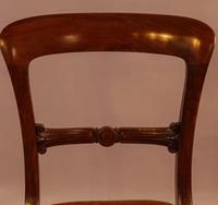 Set of 8 William IV Dining Chairs Mahogany (3 of 12) Set of 8 William IV Dining Chairs Mahogany (3 of 12)