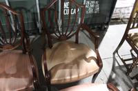 1960s Set 8 Mahogany Shieldback Carver Chairs Pale Pink (3 of 4) 1960s Set 8 Mahogany Shieldback Carver Chairs Pale Pink (3 of 4)