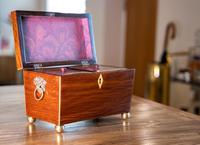 Stunning Partridge Wood Caddy 1820 (6 of 8) Stunning Partridge Wood Caddy 1820 (6 of 8)