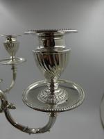 Antique Victorian Silver Candelabra. Sheffield 1894. (10 of 14) Antique Victorian Silver Candelabra. Sheffield 1894. (10 of 14)