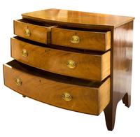 Georgian Bow Fronted Mahogany Chest of Drawers (3 of 4) Georgian Bow Fronted Mahogany Chest of Drawers (3 of 4)