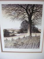 Kathleen Caddick Limited Edition Etching 'Beechwood' (2 of 6) Kathleen Caddick Limited Edition Etching 'Beechwood' (2 of 6)