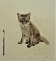 Original print, drypoint engraving, Study of a Fox Cub, indistinctly signed, c1930 (2 of 6) Original print, drypoint engraving, Study of a Fox Cub, indistinctly signed, c1930 (2 of 6)
