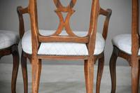 Set of 6 + 1 Continental Dining Chairs (12 of 12) Set of 6 + 1 Continental Dining Chairs (12 of 12)
