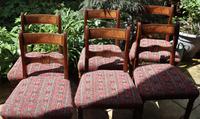 Good Set of Six Late Georgian Mahogany Dining Chairs (10 of 10) Good Set of Six Late Georgian Mahogany Dining Chairs (10 of 10)