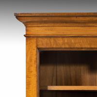 Very Good Early 19th Century Bookcase of Good Size (5 of 6) Very Good Early 19th Century Bookcase of Good Size (5 of 6)