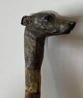 Late Victorian Birch Greyhound Walking Stick (21 of 21) Late Victorian Birch Greyhound Walking Stick (21 of 21)