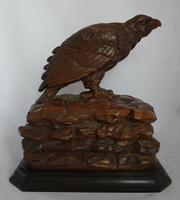 Rare and beautiful carving of a young eagle, 19th century (2 of 6) Rare and beautiful carving of a young eagle, 19th century (2 of 6)