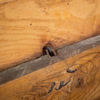 17th Century Oak & Elm Coffer (7 of 10) 17th Century Oak & Elm Coffer (7 of 10)