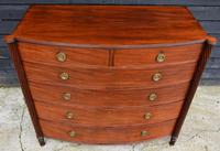 Superb Quality Regency Mahogany Bow Fronted Chest of Drawers (8 of 14) Superb Quality Regency Mahogany Bow Fronted Chest of Drawers (8 of 14)