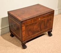 Regency Mahogany & Brass Inlaid Cellarette (1 of 5)