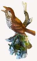A Porcelain Figure of a Woodthrush, Andrea by Sardek (3 of 7) A Porcelain Figure of a Woodthrush, Andrea by Sardek (3 of 7)