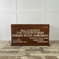 Large Early 20th C. Painted Pine Farmers Chest